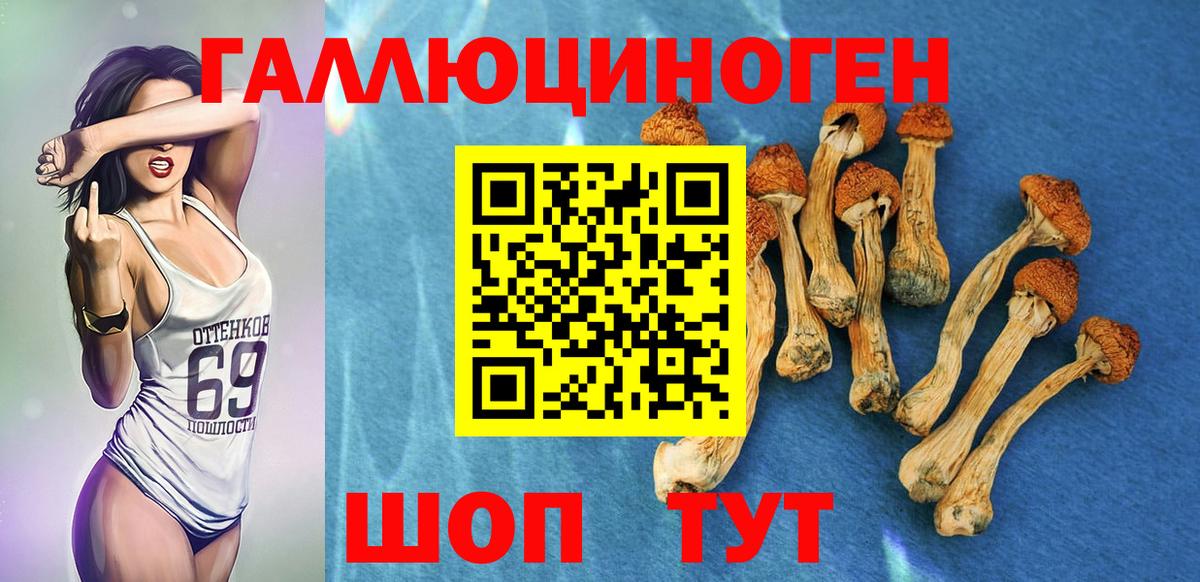 Галлюциногенные грибы MAGIC MUSHROOMS Абакан